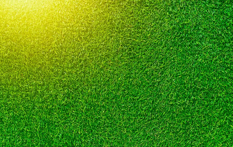 guía para cuidar el césped artificial