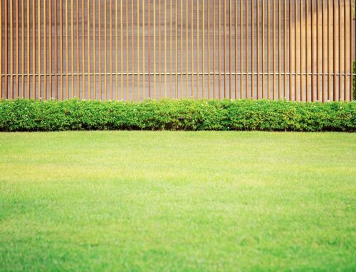 ¿Cuánto dura el césped artificial?