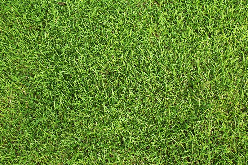 Diferencia de altura del césped artificial
