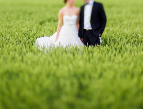 Los mejores trucos para aprovechar el césped artificial para bodas