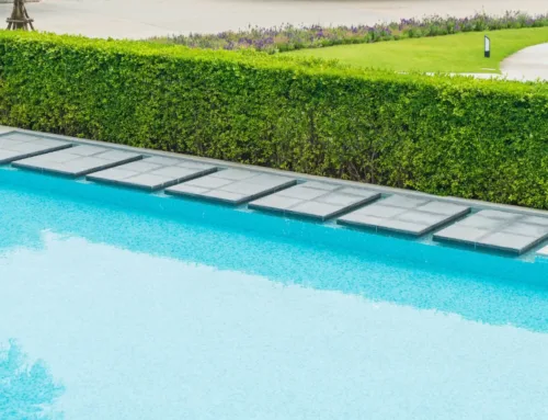 Mantén tu piscina limpia en verano con estos consejos
