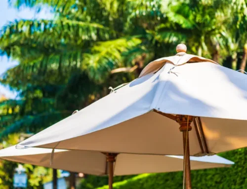 5 ideas para crear zonas de sombra en tu jardín sin obras