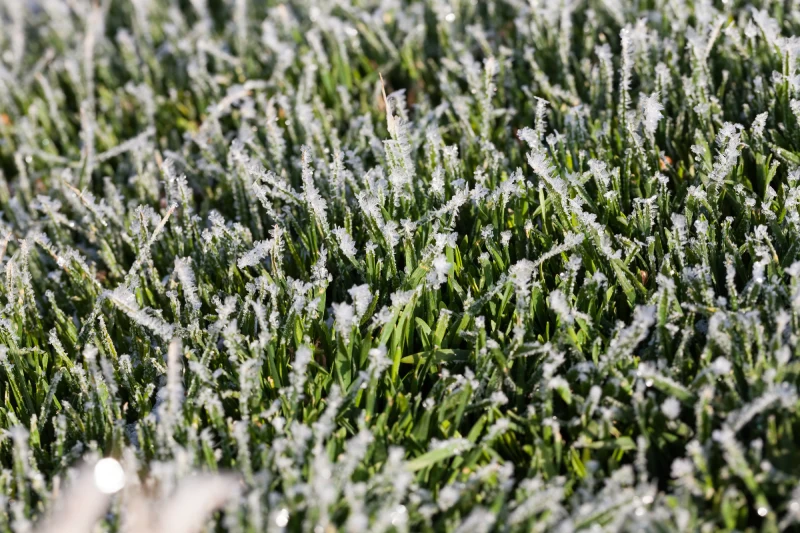 césped artificial nieve